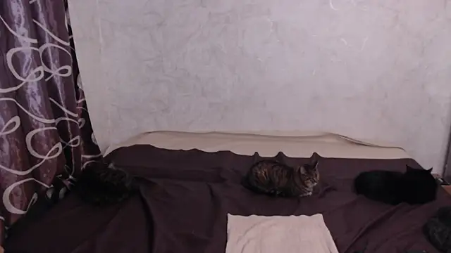 Olivia Winston online show from April 10, 2:40 am