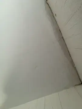 Snapshot of elninoblacko chatting on February 8, 3:10 pm elninoblacko online show from February 8, 3:10 pm