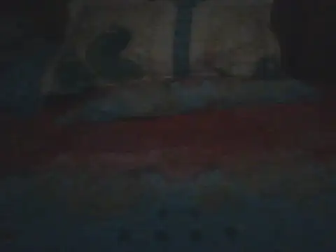 Snapshot of Nuttysub chatting on December 18, 2:27 am Nuttysub online show from December 18, 2:27 am