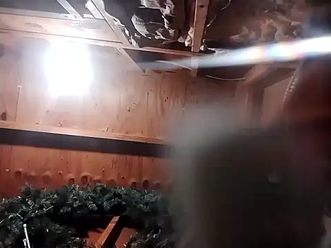 Babyboyy803 online show from November 9, 9:24 am