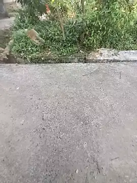 Snapshot of ind_hero chatting on October 31, 10:12 am ind hero online show from October 31, 10:12 am