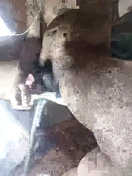 Goodman4usexy online show from March 10, 11:53 pm