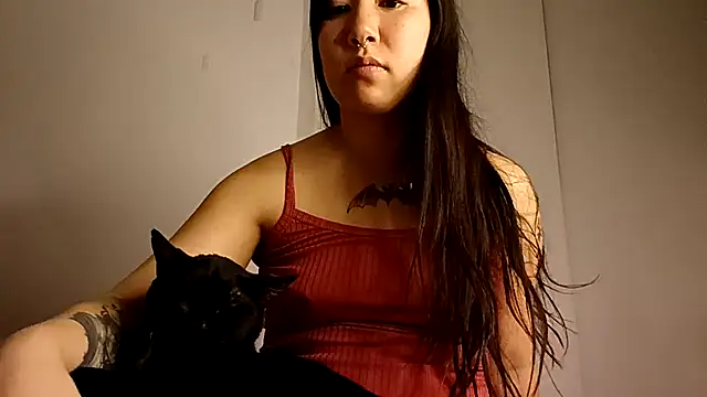 Snapshot of Japabaixinha chatting on September 20, 4:50 am Japabaixinha online show from September 20, 4:50 am