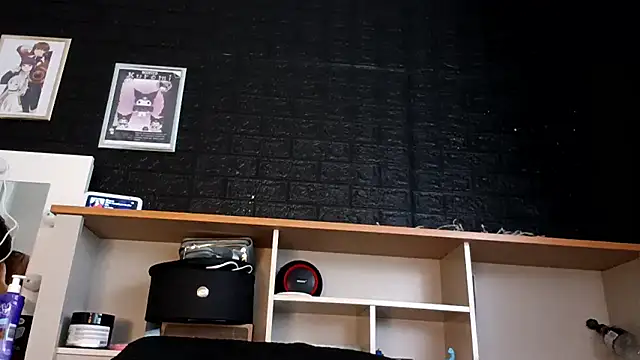 Snapshot of Japabaixinha chatting on November 8, 6:11 pm Japabaixinha online show from November 8, 6:11 pm