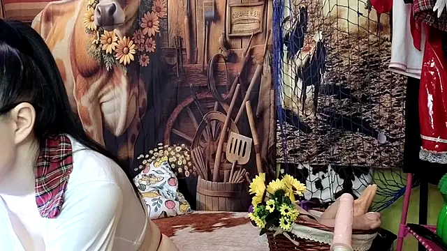 DashaHart online show from December 5, 1:11 pm