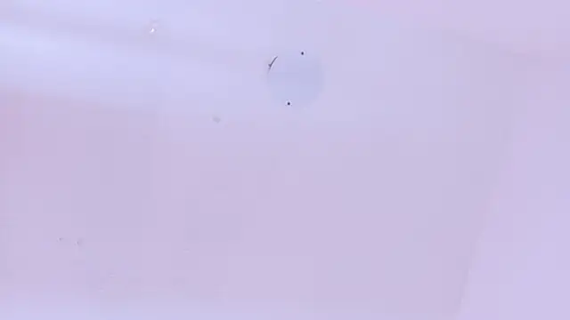 LoveQueen2 online show from March 20, 11:44 am