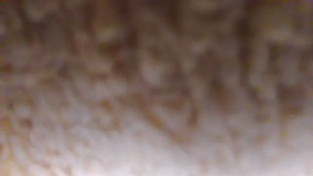 Snapshot of Burberrry_ chatting on June 22, 7:22 pm Burberrry online show from June 22, 7:22 pm