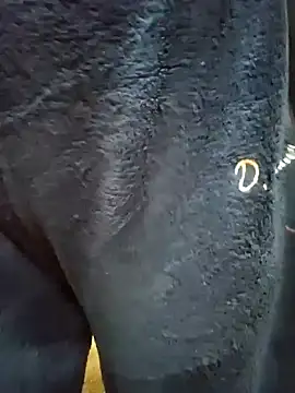 Bhabhi  sexy online show from January 13, 5:02 pm