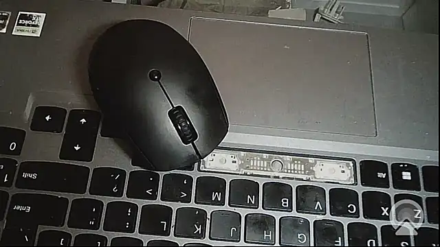 EXOTICLEXXXI online show from February 14, 3:23 pm