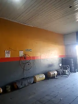 hecwil8 online show from February 13, 12:27 pm