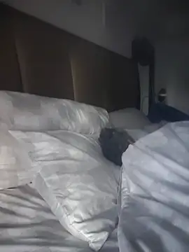 CeceilaMoon online show from April 21, 1:07 pm