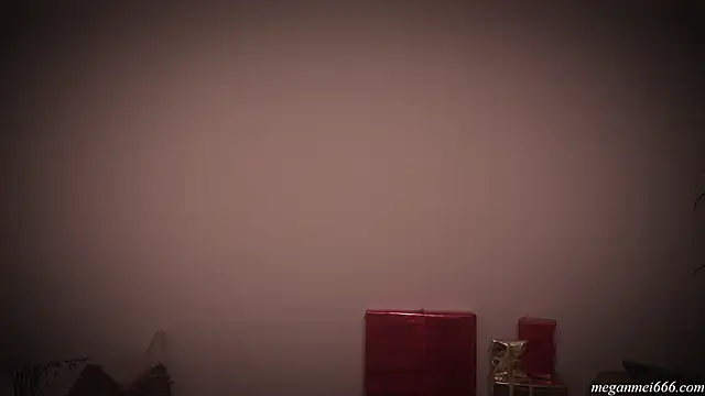 meganmei666 online show from December 22, 2:44 am