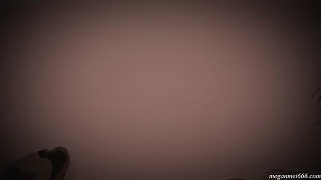 meganmei666 online show from December 20, 2:58 am