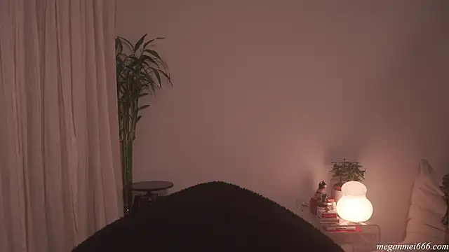 meganmei666 online show from April 21, 2:03 am