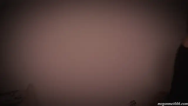 meganmei666 online show from November 26, 3:06 am