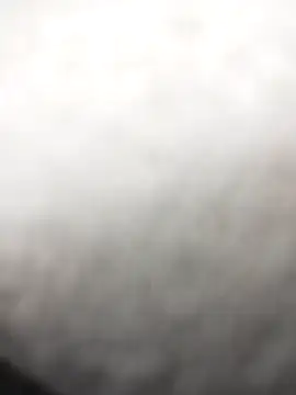 Emily Wane online show from March 12, 6:45 pm