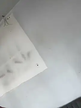 AnaRuiz online show from November 22, 3:22 pm