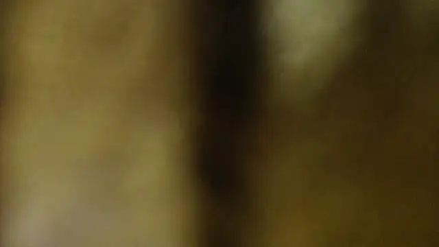 Sophia your online show from March 27, 6:22 am