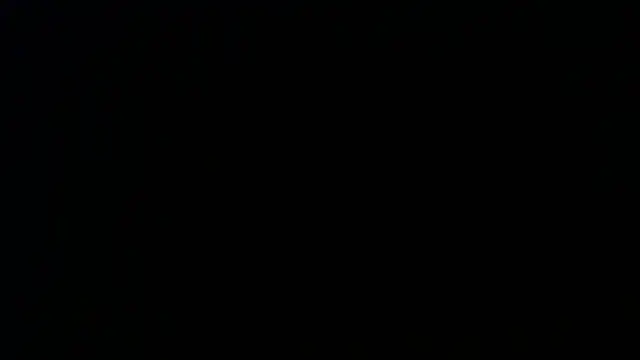 Sophia your online show from April 9, 12:11 pm