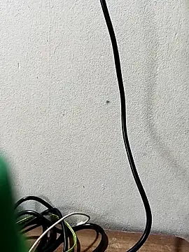 Tujo islam online show from September 17, 4:58 am