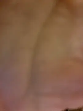 Gros-tuyau-93 online show from March 13, 11:59 am