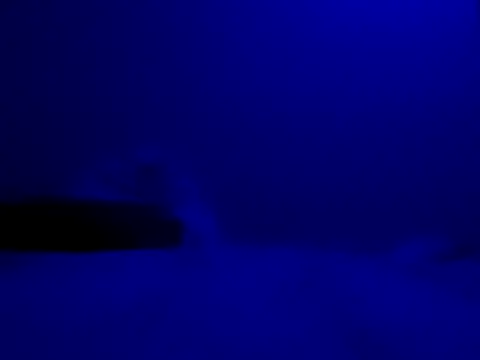 Blkstylion online show from November 27, 8:20 pm