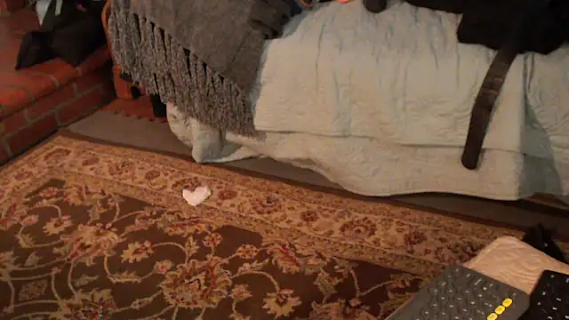 Dark Asteroid online show from March 9, 1:58 pm