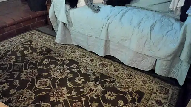 Dark Asteroid online show from December 21, 3:03 pm