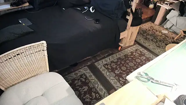 Dark Asteroid online show from February 28, 1:33 pm