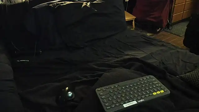 Dark Asteroid online show from February 22, 1:02 pm