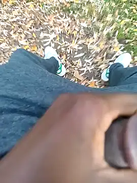 Snapshot of no1belike1 chatting on November 12, 3:49 pm no1belike1 online show from November 12, 3:49 pm