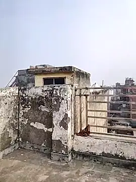 Snapshot of _Redwine_ chatting on December 19, 6:05 am Redwine online show from December 19, 6:05 am