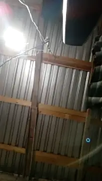 Moreno1813 online show from November 5, 6:05 am