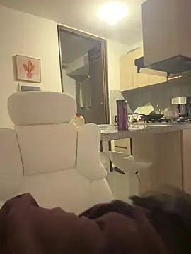 Snapshot of PetitLumiere chatting on January 3, 3:49 am PetitLumiere online show from January 3, 3:49 am