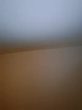 Snapshot of molozeb chatting on December 19, 8:55 pm molozeb online show from December 19, 8:55 pm