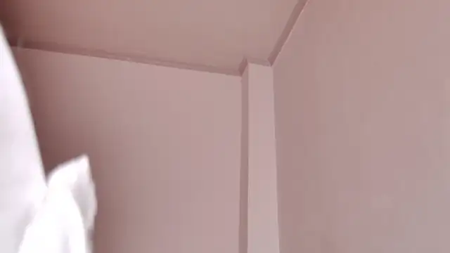 caarlywhitee online show from February 12, 1:49 am