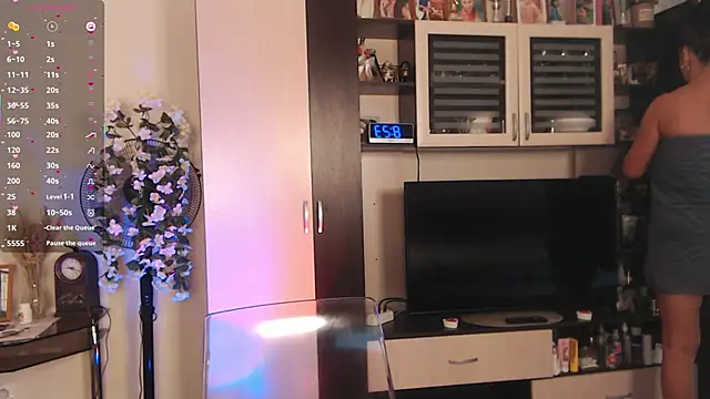 SheilaRyan online show from November 3, 5:23 am