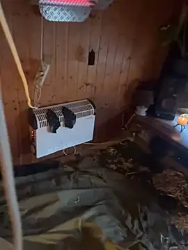 SexToyOnely online show from February 6, 7:37 am