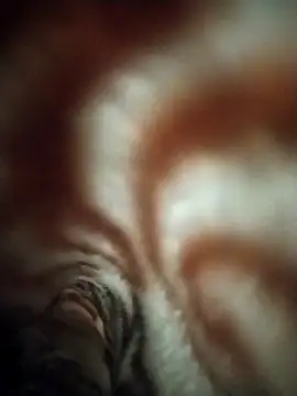 FantasticWonders9 online show from April 12, 10:24 pm