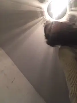 ChantalXOrchid online show from December 21, 5:58 pm