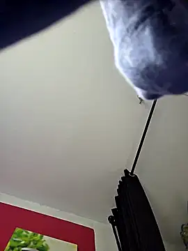 dieGeile0411 online show from October 25, 9:52 am