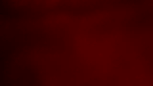 ray and 666 online show from November 21, 6:45 am