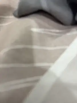 rajapo 1 online show from November 5, 3:09 am