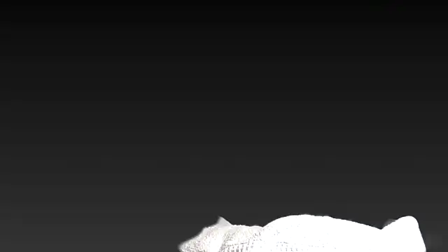 juanpalmox online show from November 25, 8:31 pm