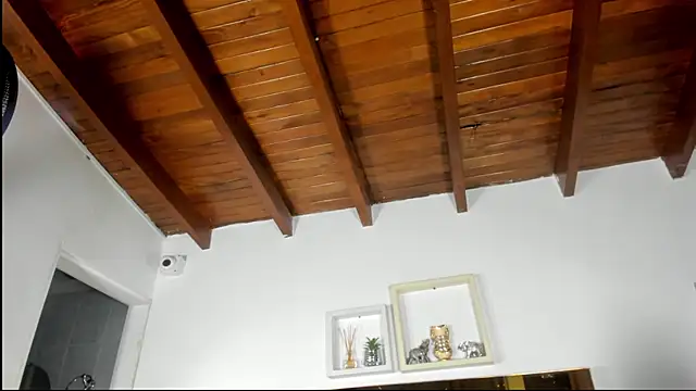 emmy r online show from December 20, 12:08 pm