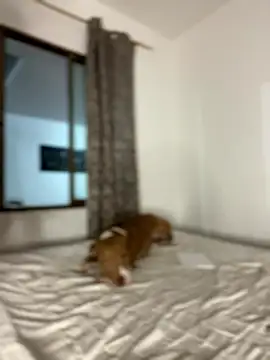 CurlyGirl 1 online show from January 18, 11:19 pm