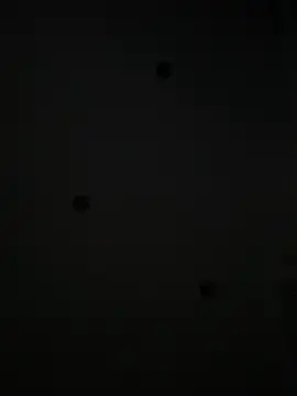 Maxthekid online show from January 21, 10:19 pm