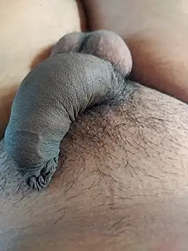 Dog546i online show from September 25, 9:48 am