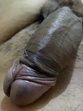 Dog546i online show from October 9, 5:13 pm