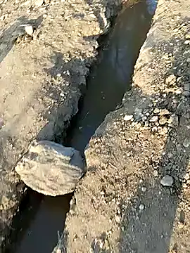 Snapshot of Monster_Bigdick chatting on January 9, 11:36 am Monster Bigdick online show from January 9, 11:36 am